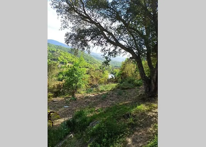 Maison 38m2 15min De Corte 30min De Bastia